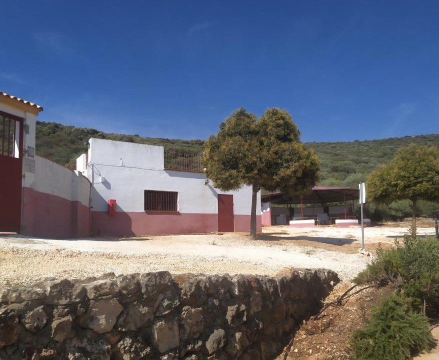 Photo of Others in Estepa