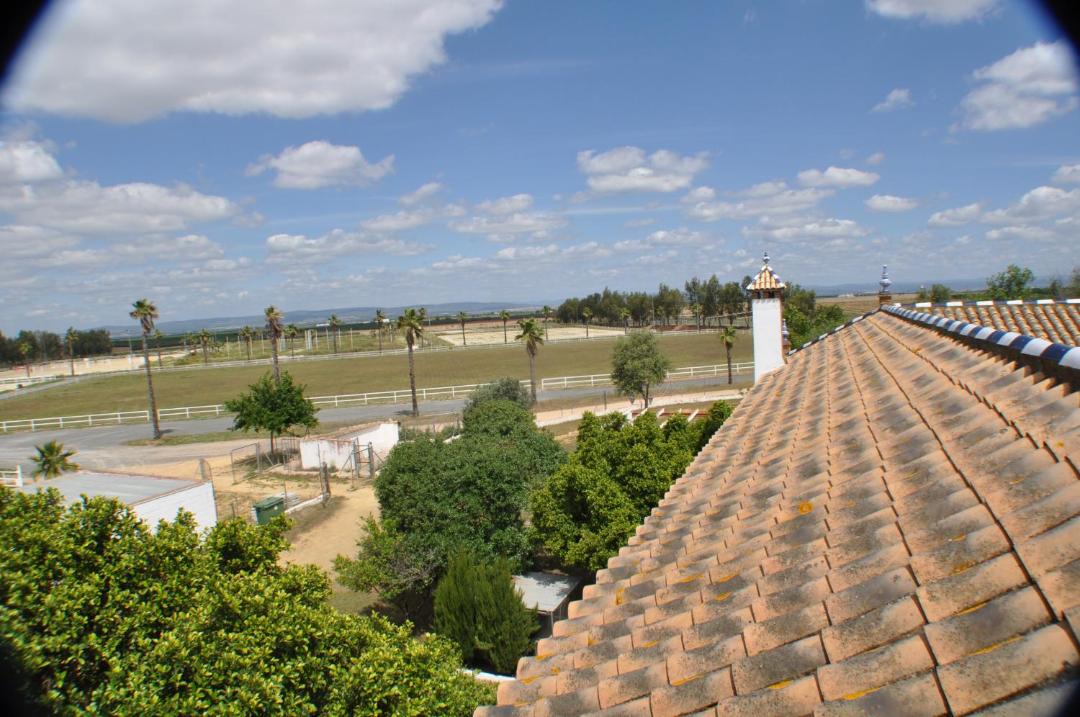 Photo of Others in Carmona