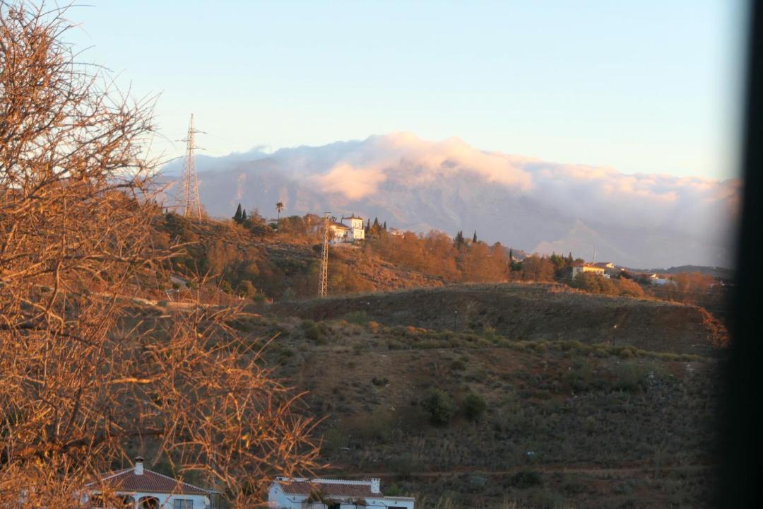 Photo of Outdoor in Benajarafe