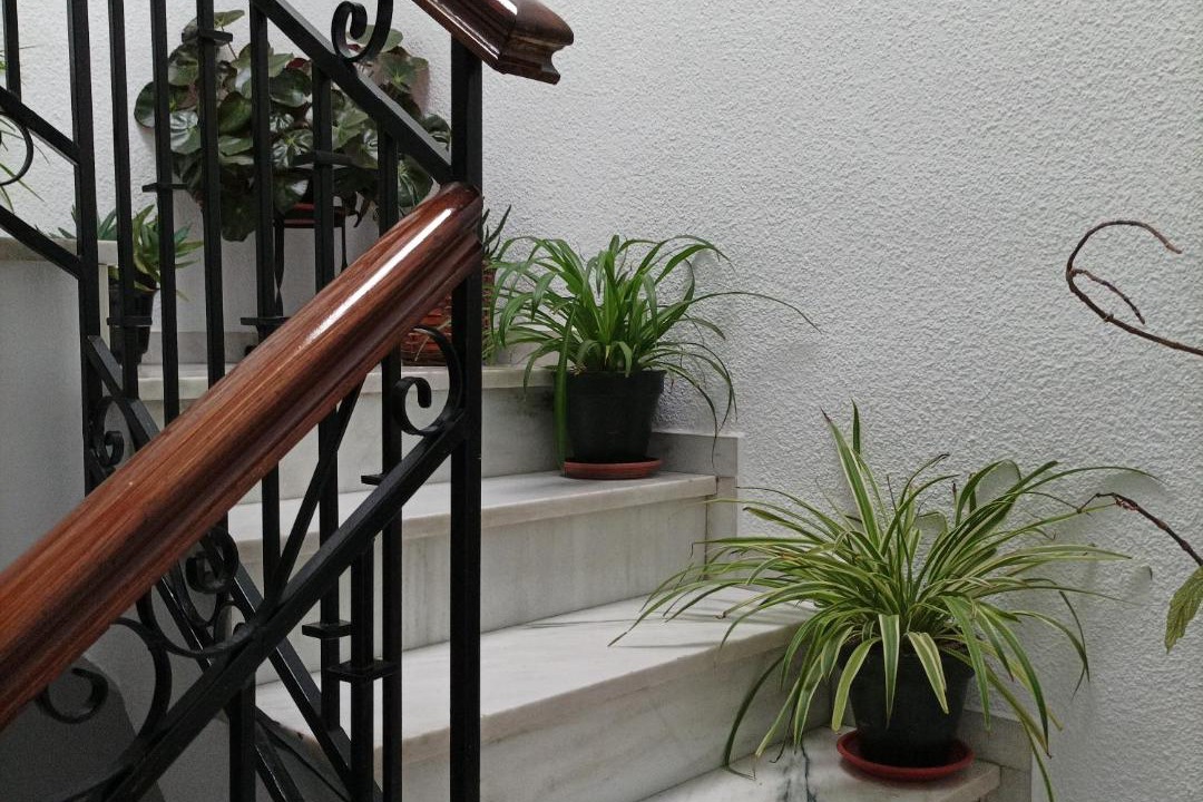Photo of Patio Balcony in Priego de Cordoba