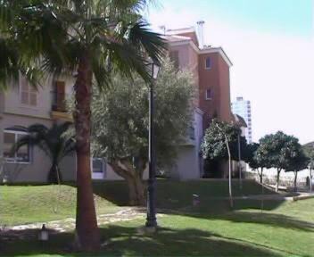 Photo of Others in Puerto de Mazarron