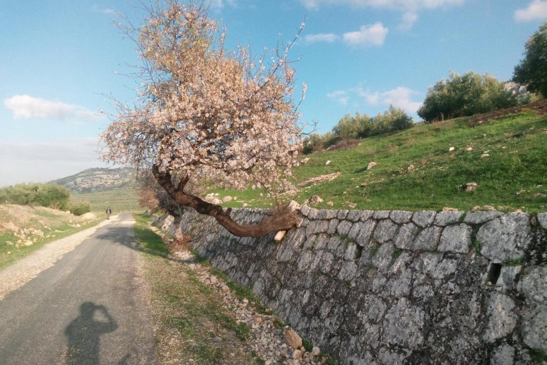 Photo of Others in Zuheros