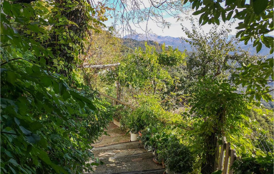 Photo of Outdoor in Algatocin