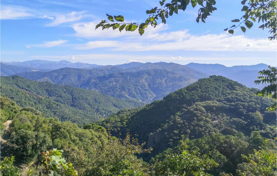 Photo of Outdoor in Algatocin