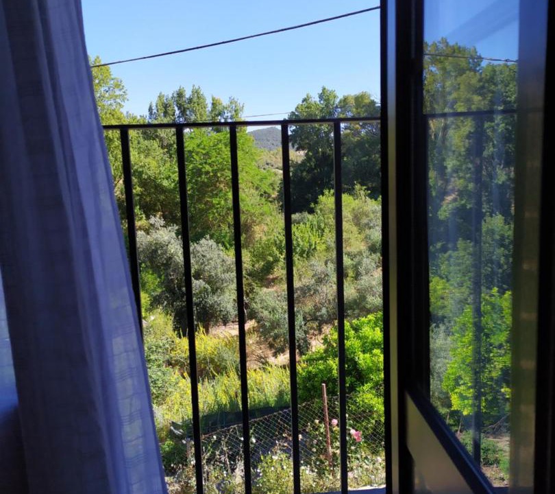 Photo of Patio Balcony in El Bosque