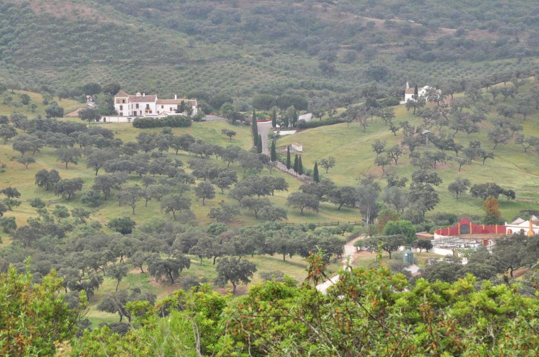 Photo of Others in Villanueva del Rio y Minas