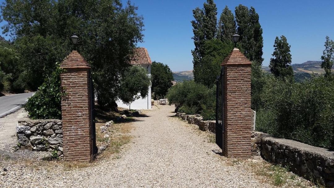 Photo of Others in Grazalema