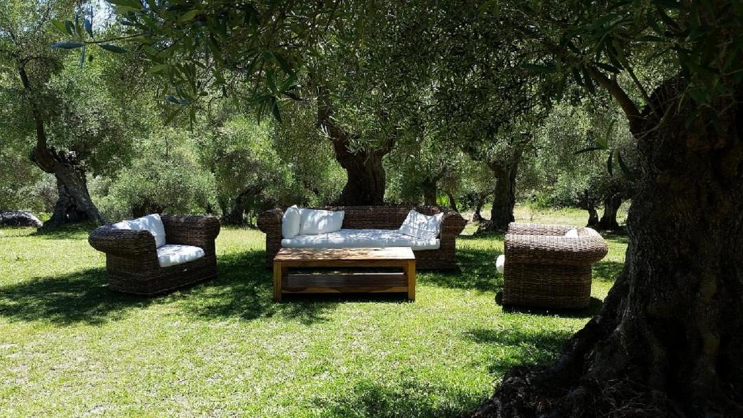 Photo of Others in Grazalema