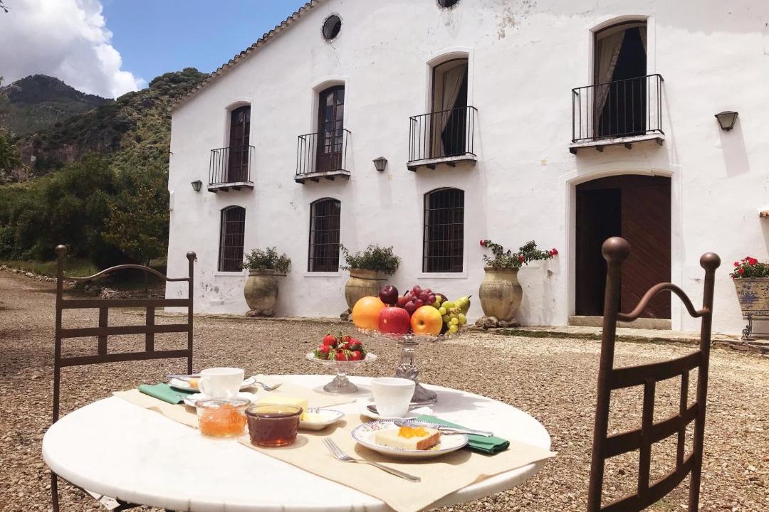 Photo of Others in Grazalema