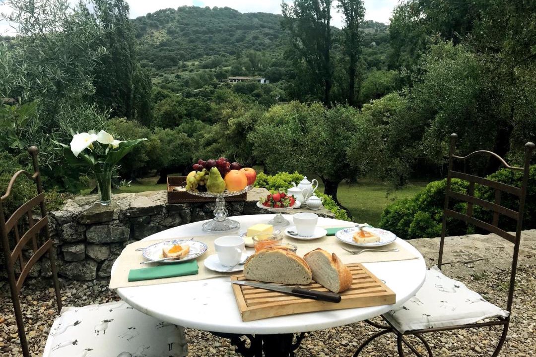 Photo of Others in Grazalema