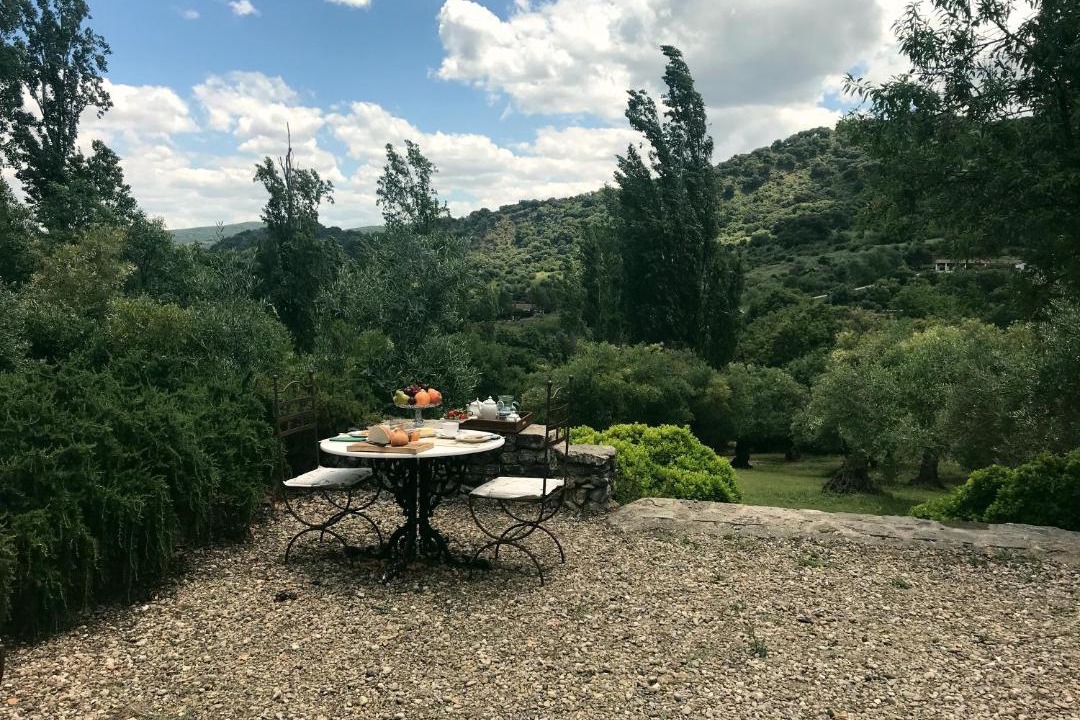 Photo of Others in Grazalema