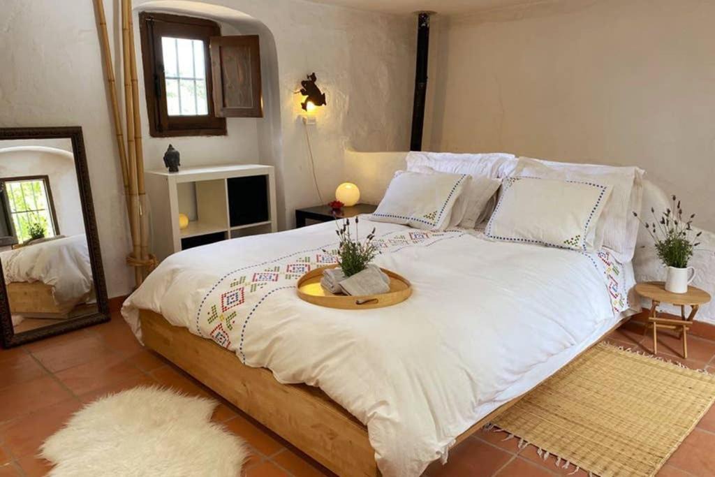 Photo of Bedroom in Algodonales
