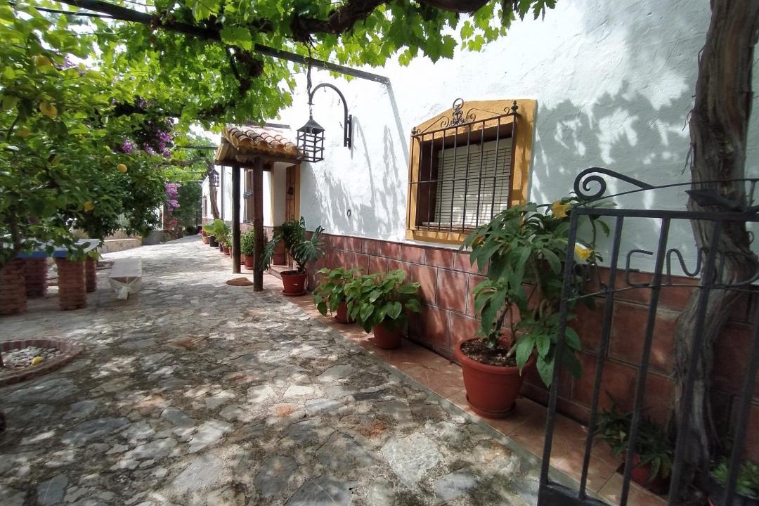 Photo of Others in Martos