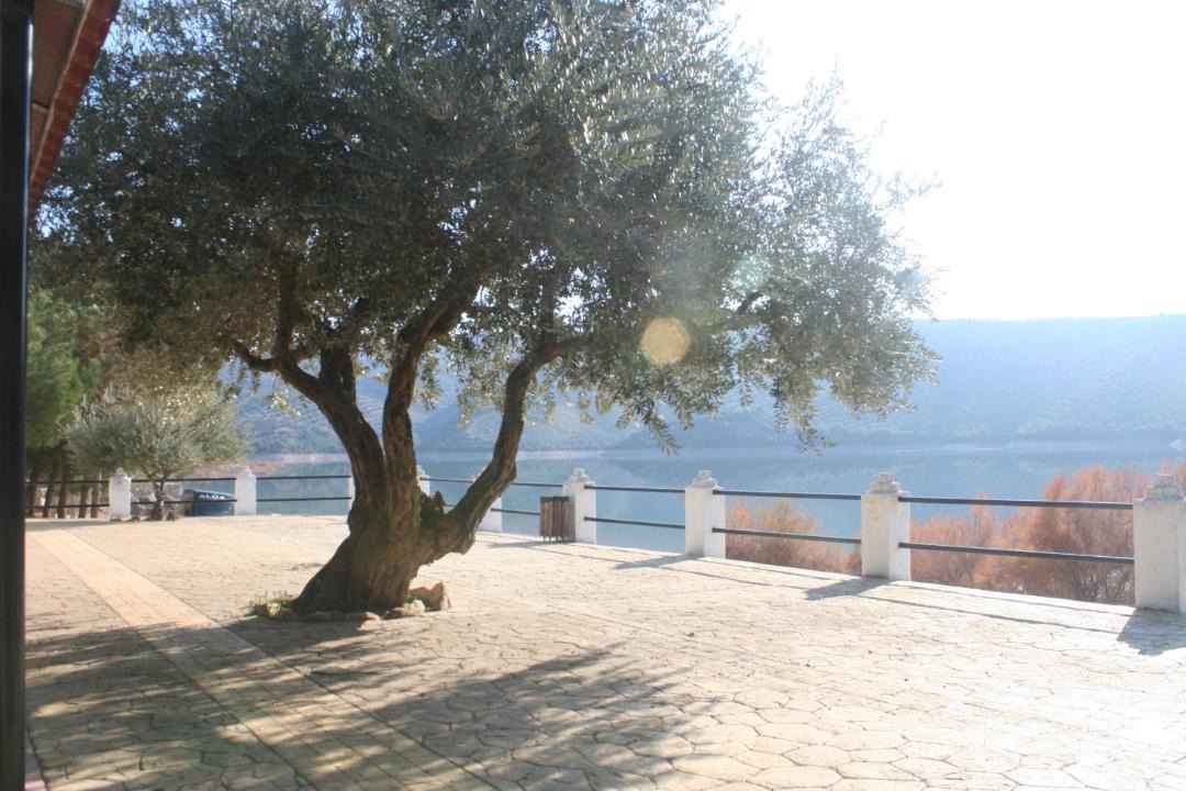 Photo of Others in Iznajar