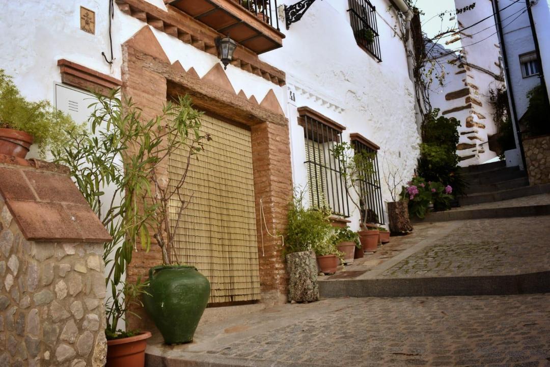 Photo of Others in Benalauria