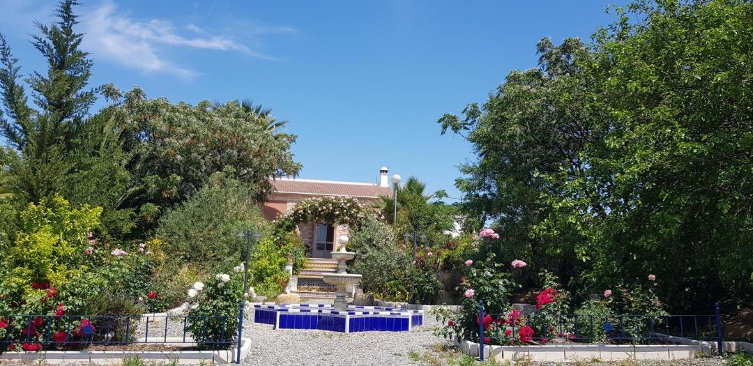 Photo of Others in Villalba del Alcor