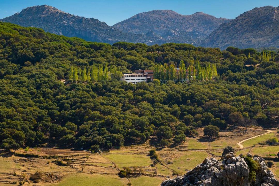 Photo of Others in Grazalema