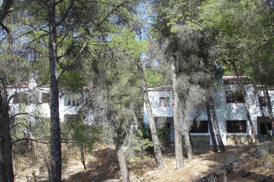 Photo of Others in Ardales