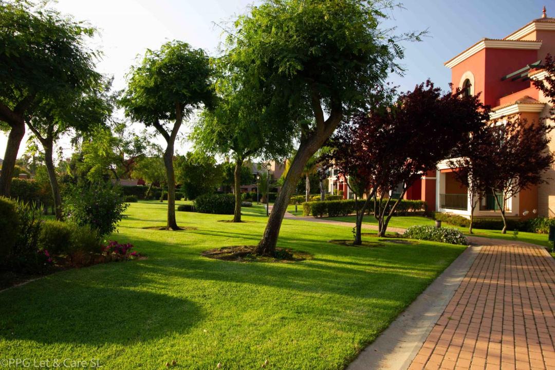 Photo of Others in Ayamonte