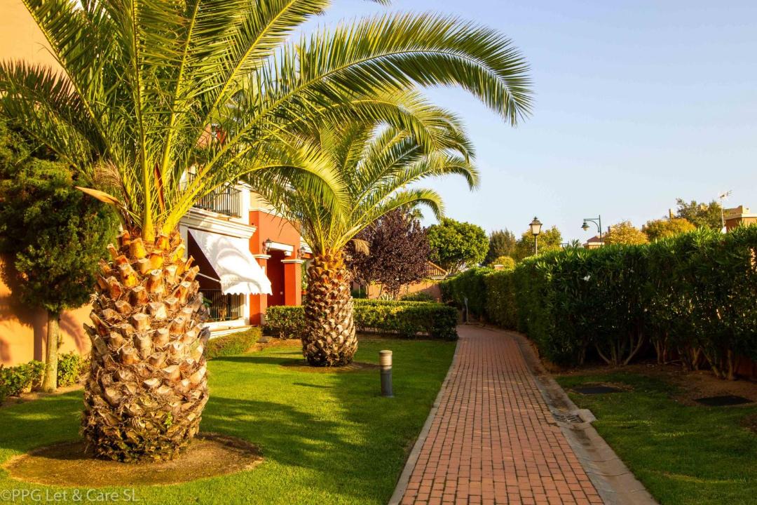 Photo of Others in Ayamonte