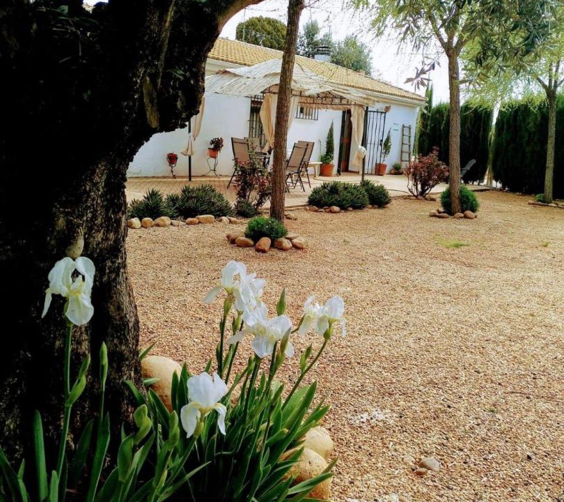 Photo of Others in Marmolejo