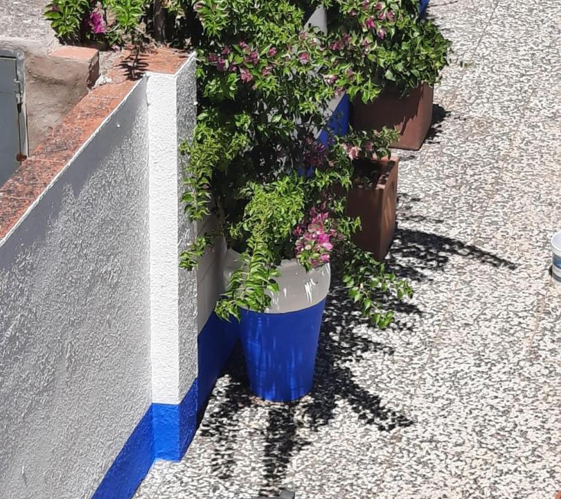 Photo of Others in Rosal de la Frontera