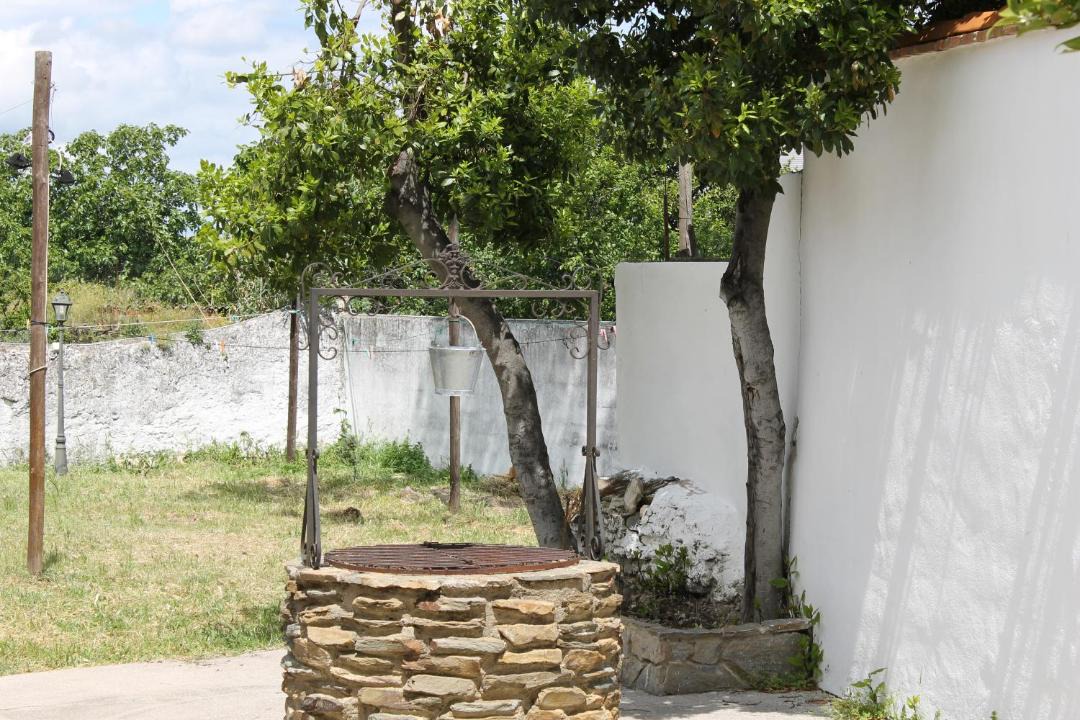 Photo of Others in Garrovillas de Alconetar