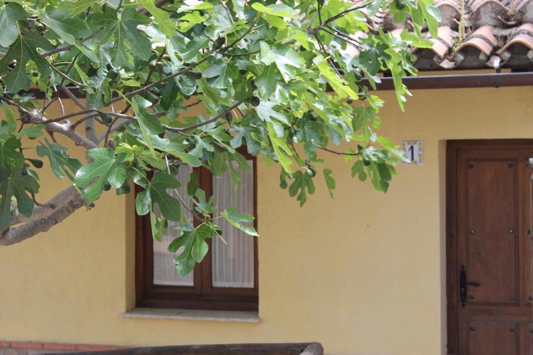 Photo of Others in Garrovillas de Alconetar