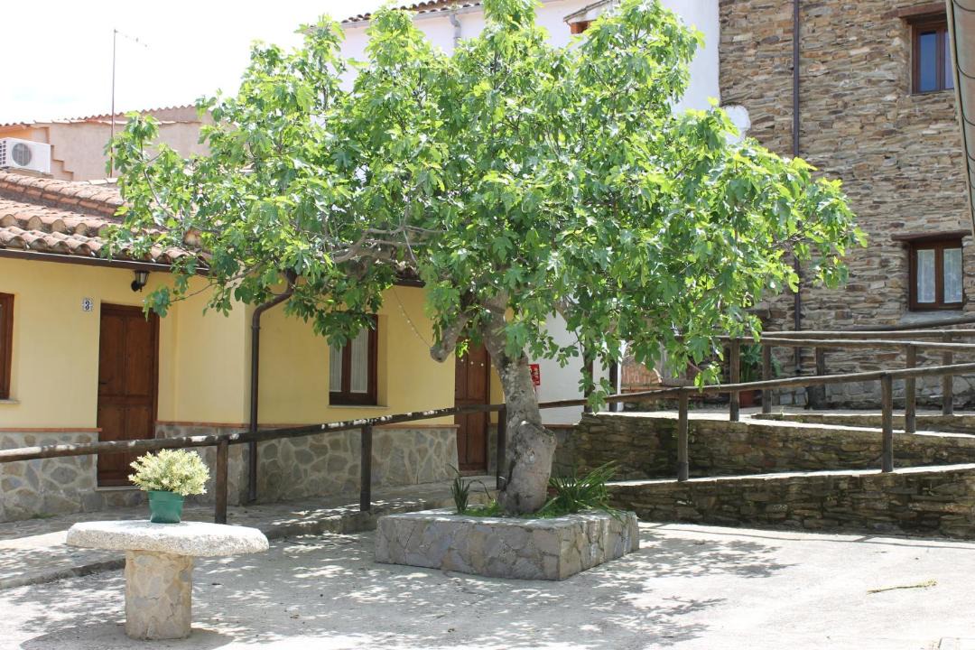 Photo of Buildings in Garrovillas de Alconetar