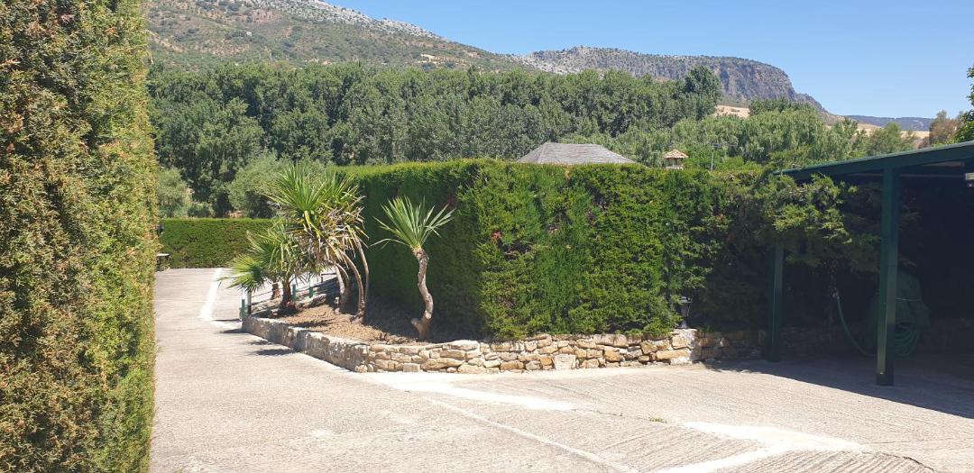 Photo of Others in Ronda