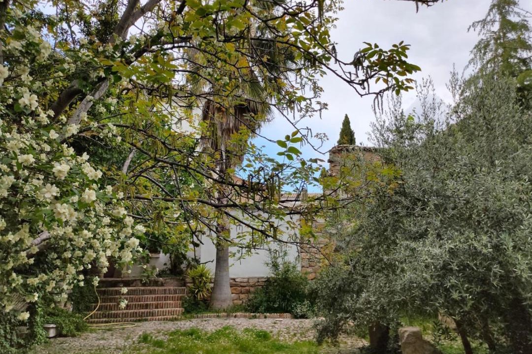 Photo of Others in Ubeda