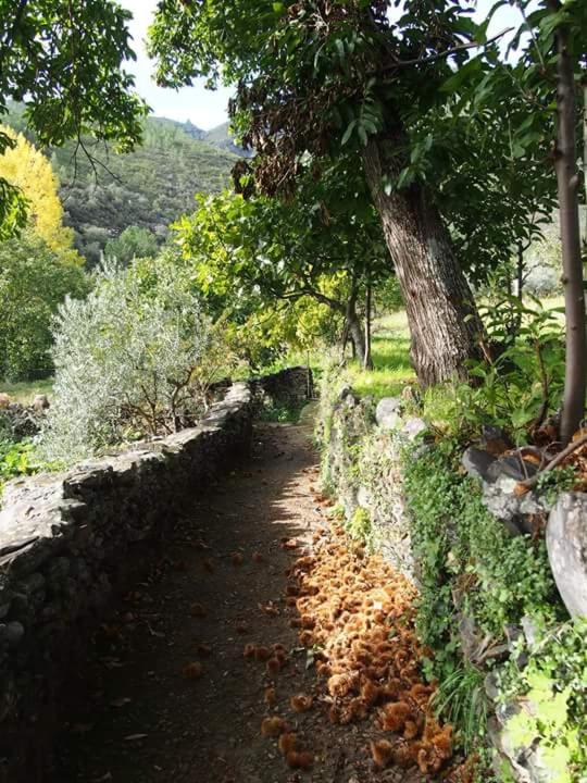 Photo of Others in Ovejuela