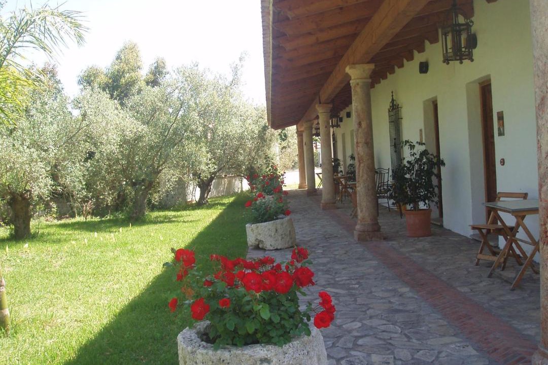 Photo of Others in Medina-Sidonia