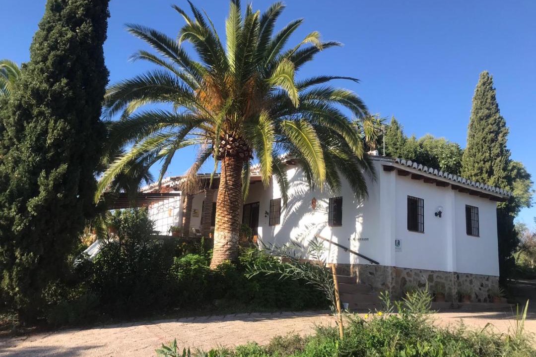 Photo of Others in Pizarra