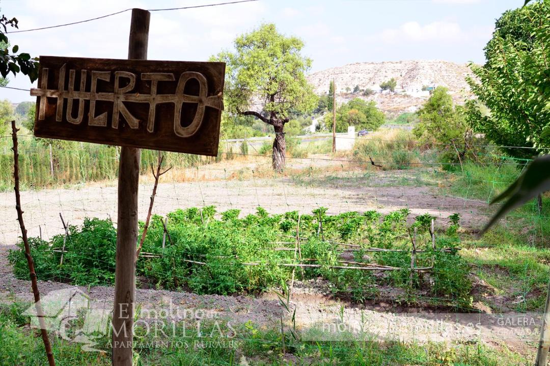 Photo of Others in La Alqueria