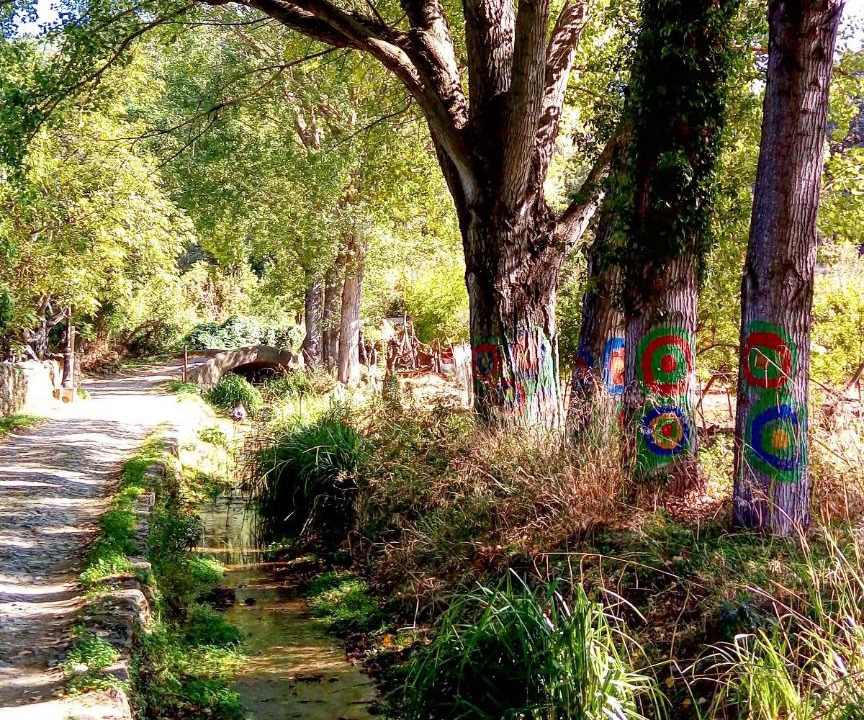 Photo of Others in Linares de la Sierra
