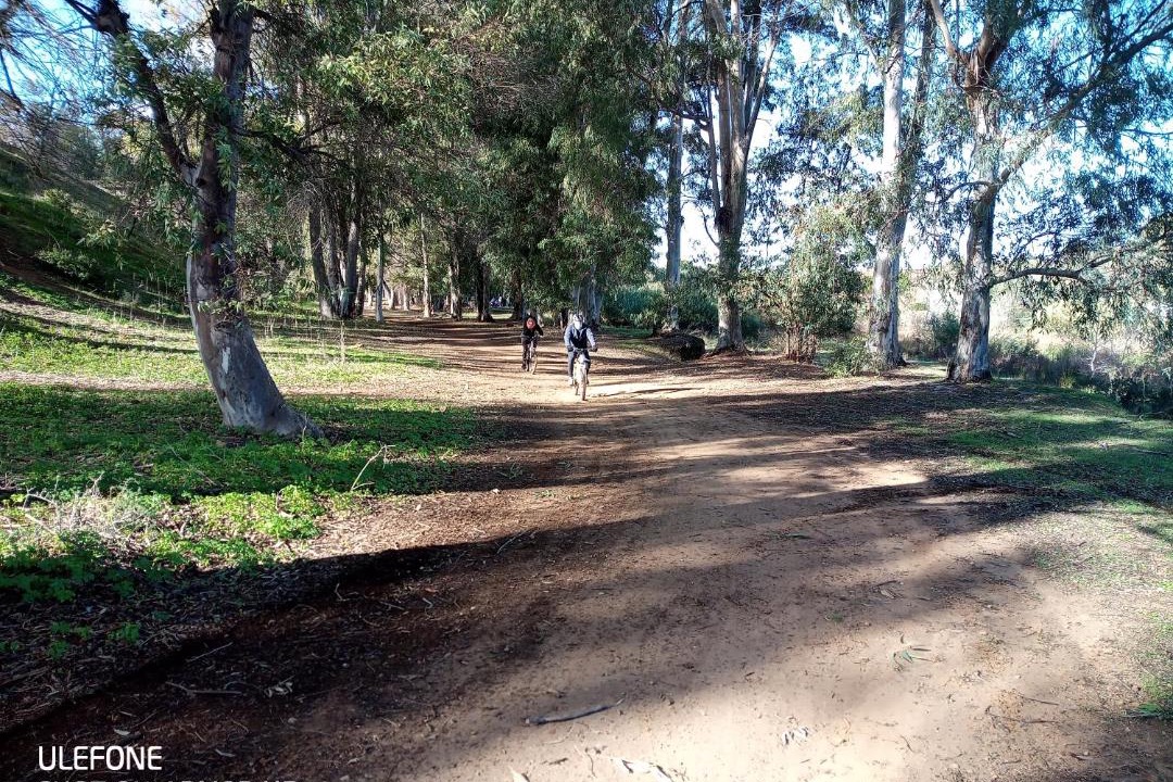 Photo of Others in Alcala de Guadaira