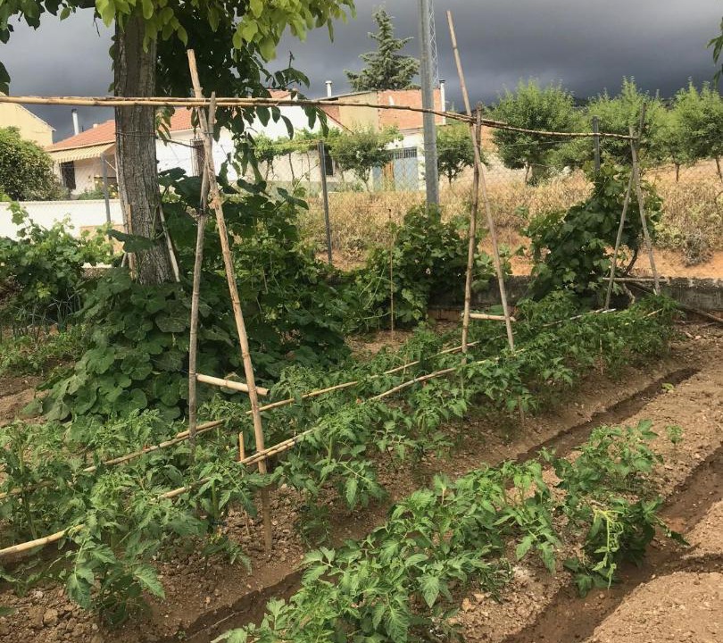 Photo of Outdoor in Alcala la Real
