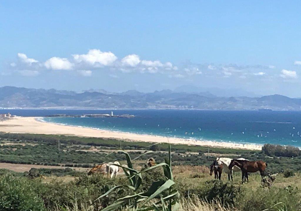Photo of Others in Tarifa