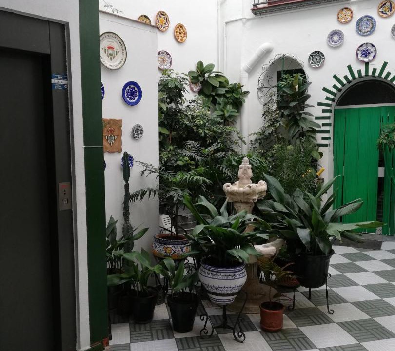 Photo of Others in Priego de Cordoba