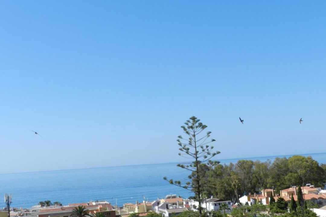 Photo of Others in Pedregalejo