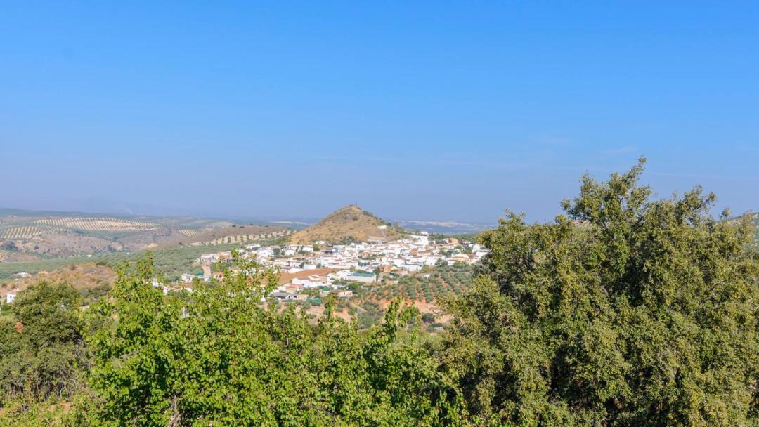 Photo of Outdoor in Villanueva de Algaidas