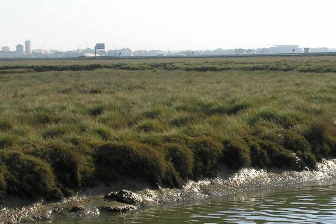 Photo of Others in Aljaraque