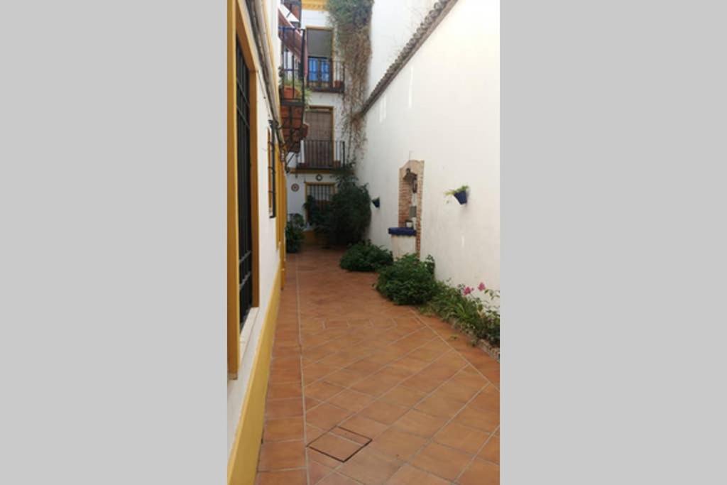 Photo of Others in Santa Marina