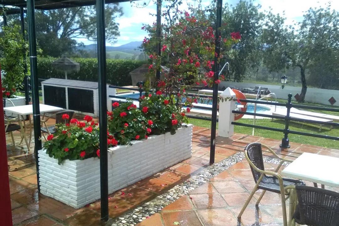 Photo of Others in Pizarra