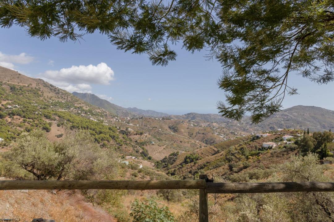 Photo of Outdoor in Competa