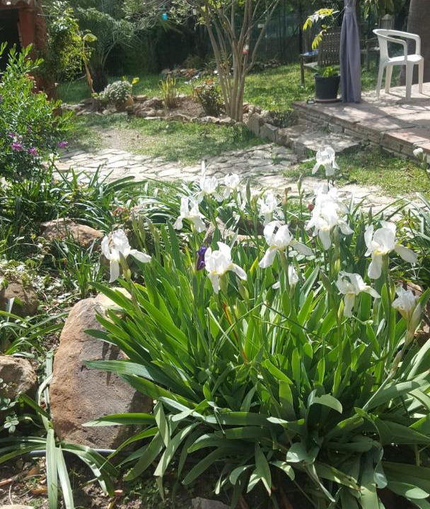 Photo of Others in Gaucin