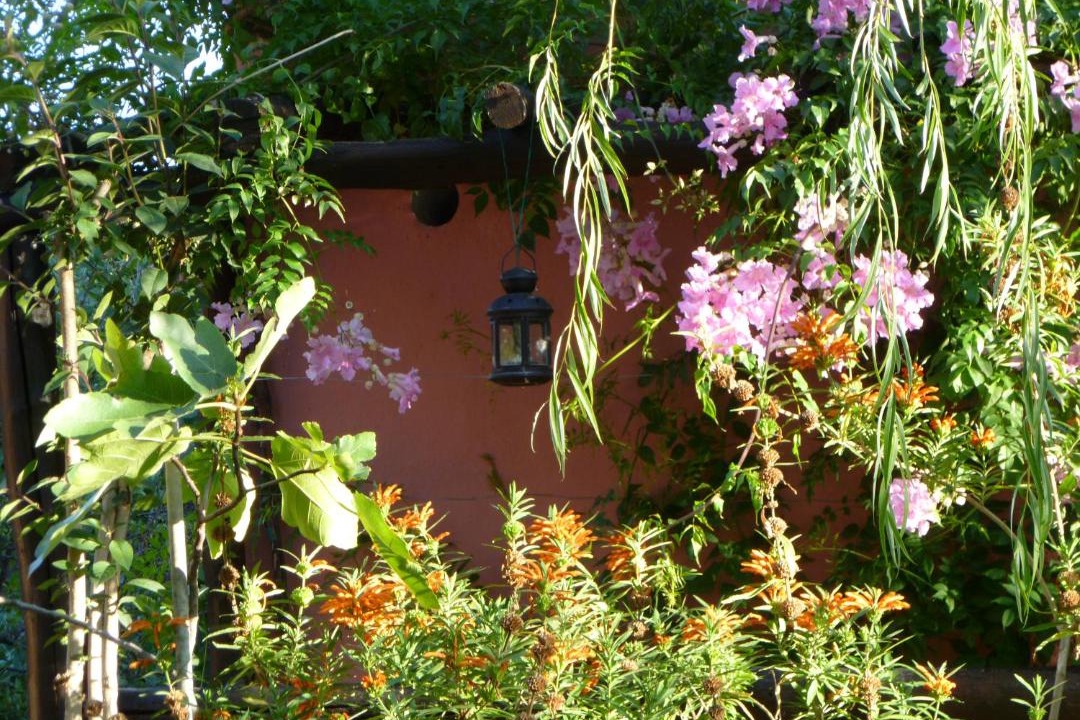 Photo of Others in Gaucin