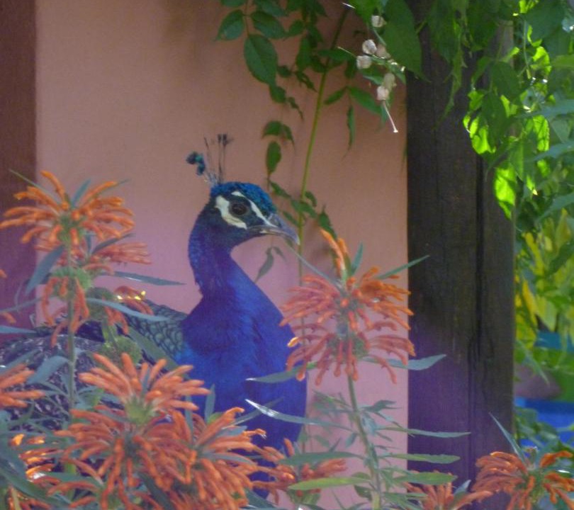 Photo of Others in Gaucin
