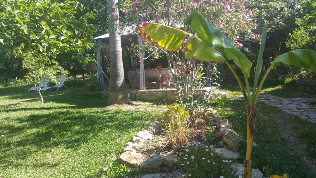 Photo of Others in Gaucin